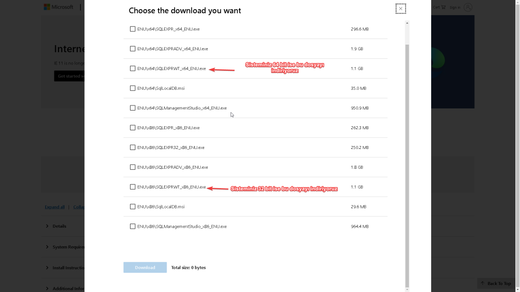 Adım 2 - Versiyon Seçimi